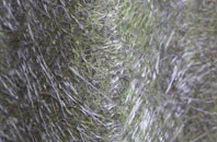 Wierton fibreglass roof work