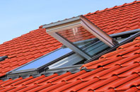 Wierton roof window